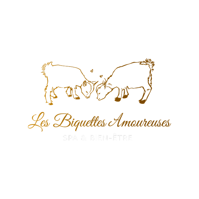 biquettes logo